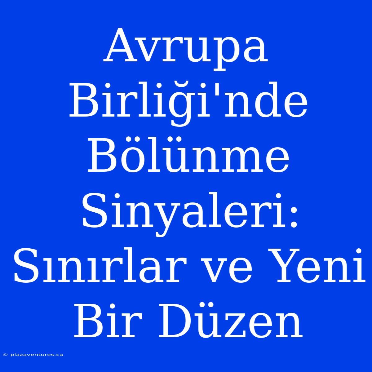 Avrupa Birliği'nde Bölünme Sinyaleri: Sınırlar Ve Yeni Bir Düzen