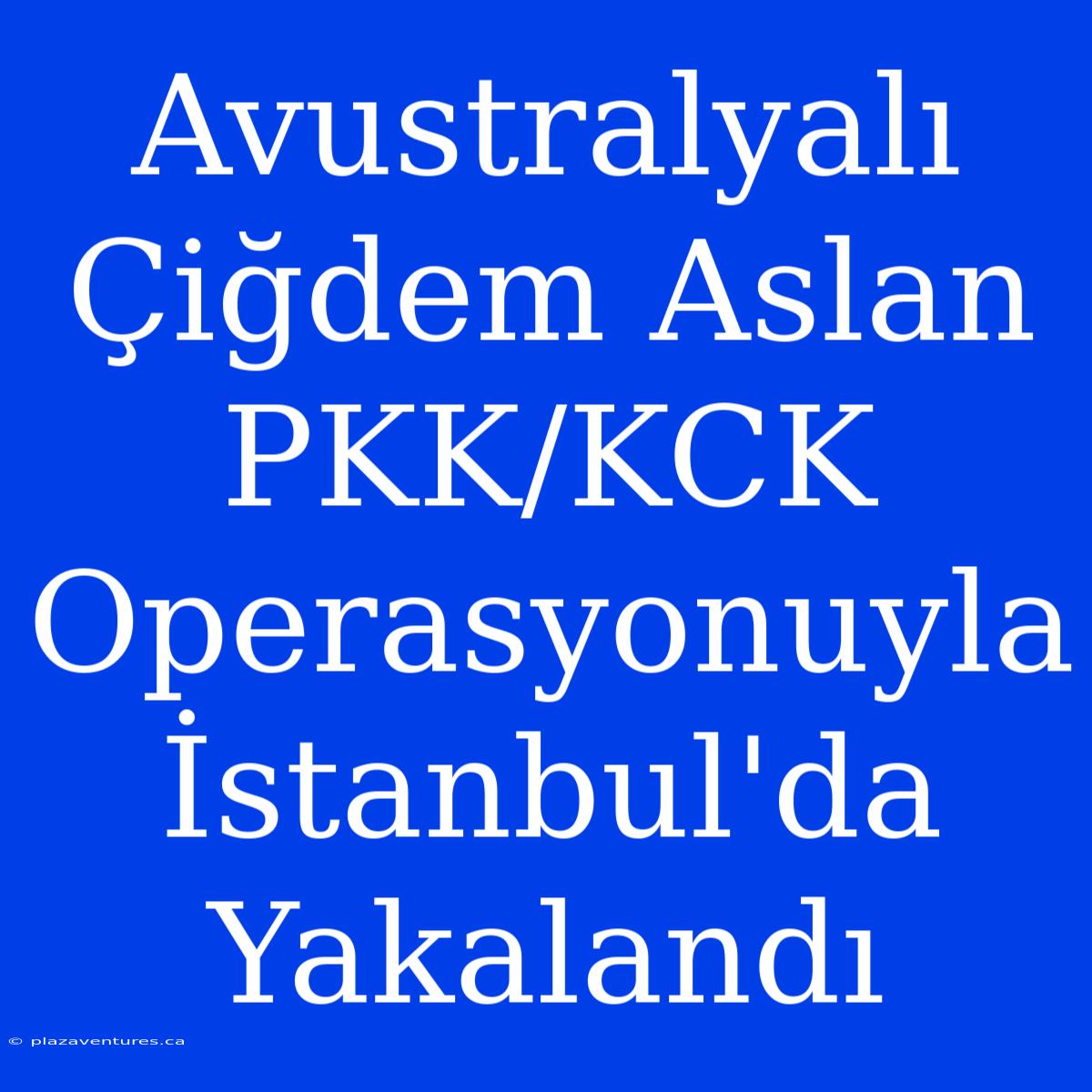 Avustralyalı Çiğdem Aslan PKK/KCK Operasyonuyla İstanbul'da Yakalandı