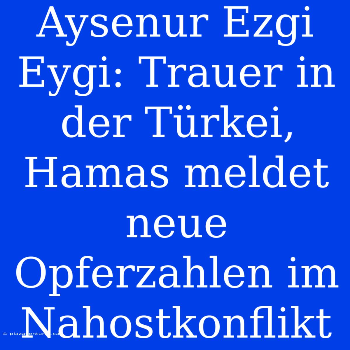 Aysenur Ezgi Eygi: Trauer In Der Türkei, Hamas Meldet Neue Opferzahlen Im Nahostkonflikt