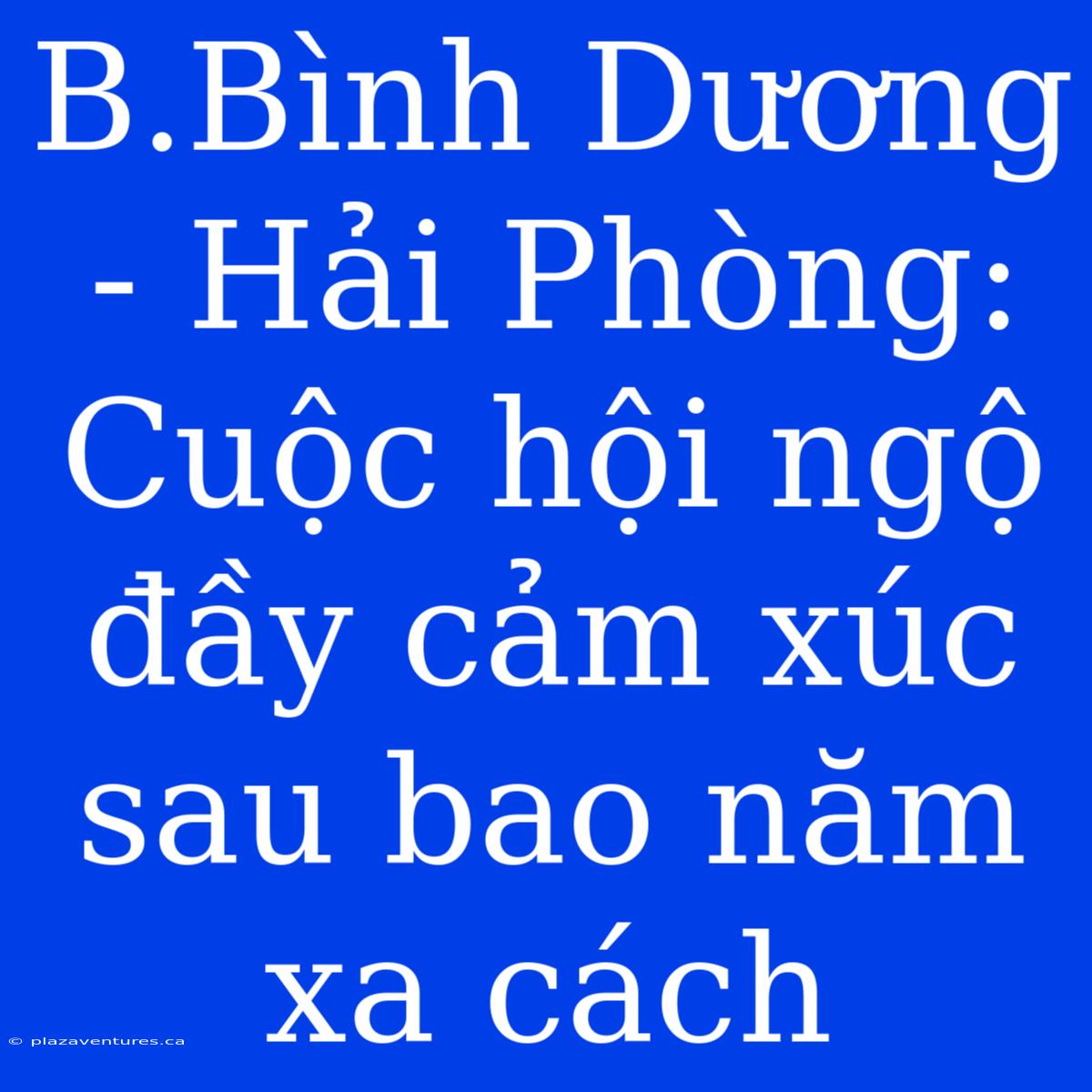 B.Bình Dương - Hải Phòng: Cuộc Hội Ngộ Đầy Cảm Xúc Sau Bao Năm Xa Cách