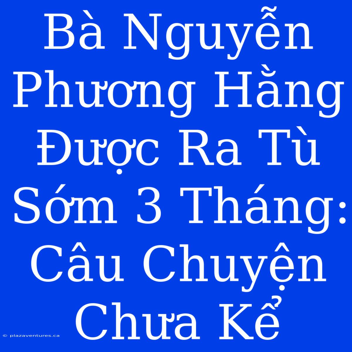 Bà Nguyễn Phương Hằng Được Ra Tù Sớm 3 Tháng: Câu Chuyện Chưa Kể