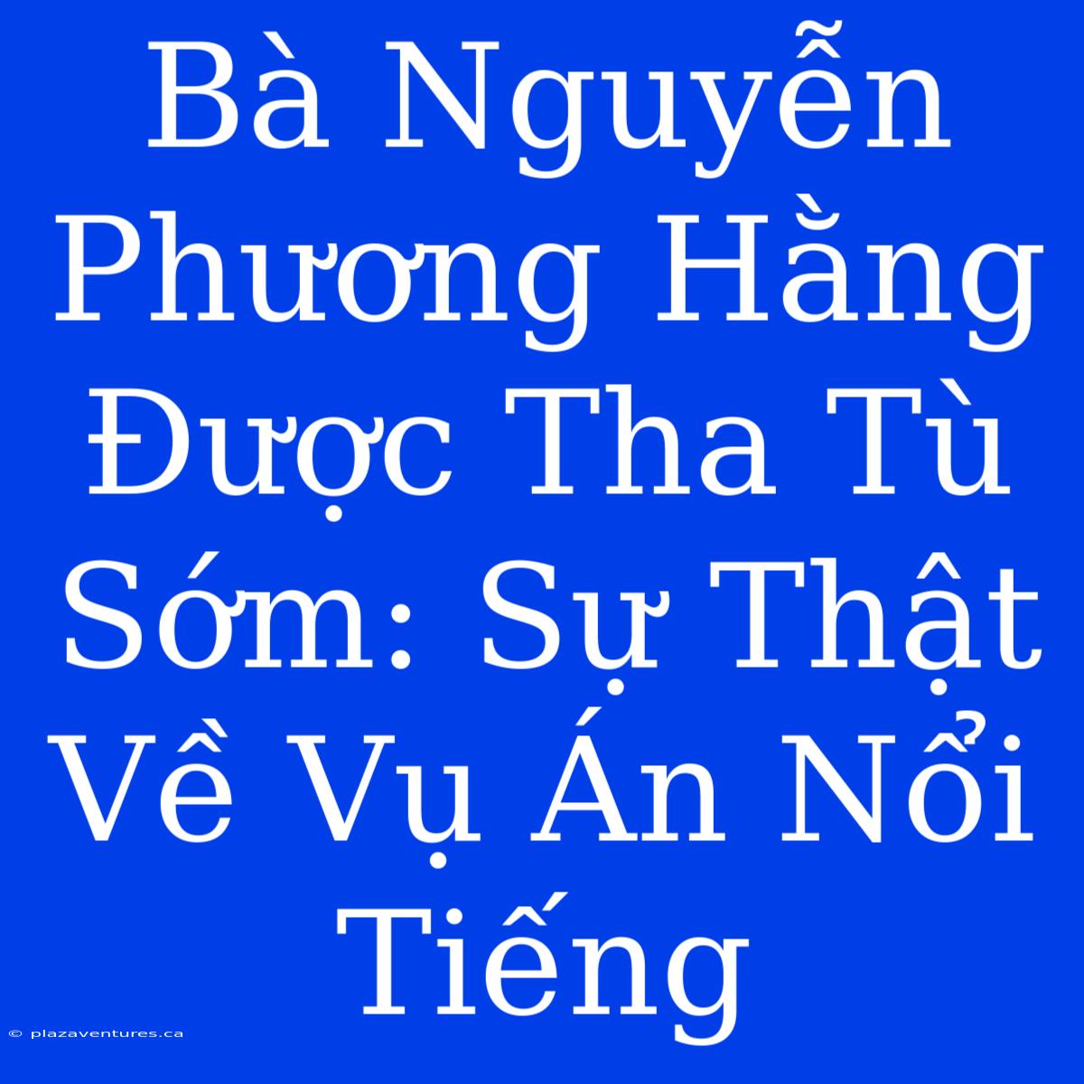 Bà Nguyễn Phương Hằng Được Tha Tù Sớm: Sự Thật Về Vụ Án Nổi Tiếng