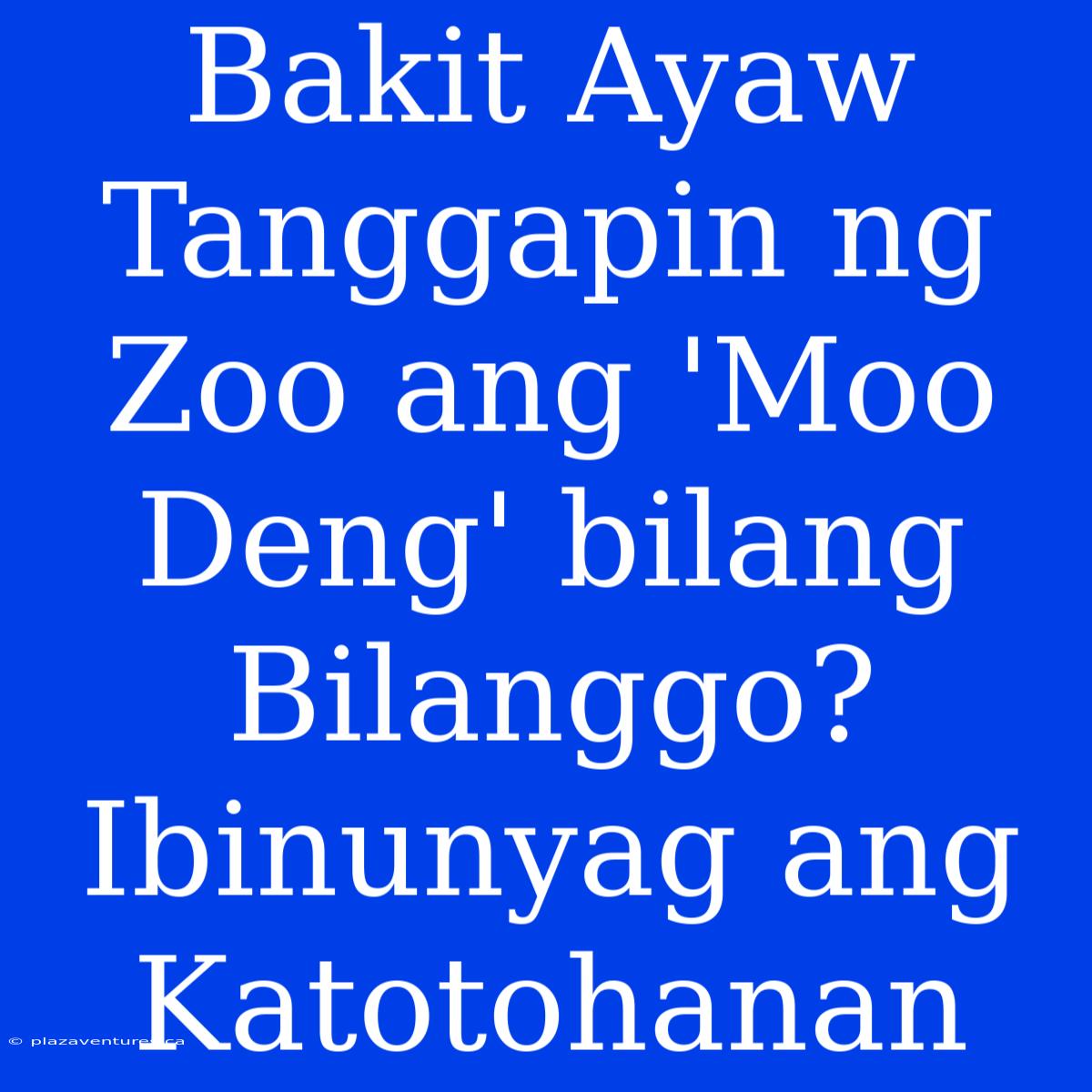 Bakit Ayaw Tanggapin Ng Zoo Ang 'Moo Deng' Bilang Bilanggo? Ibinunyag Ang Katotohanan