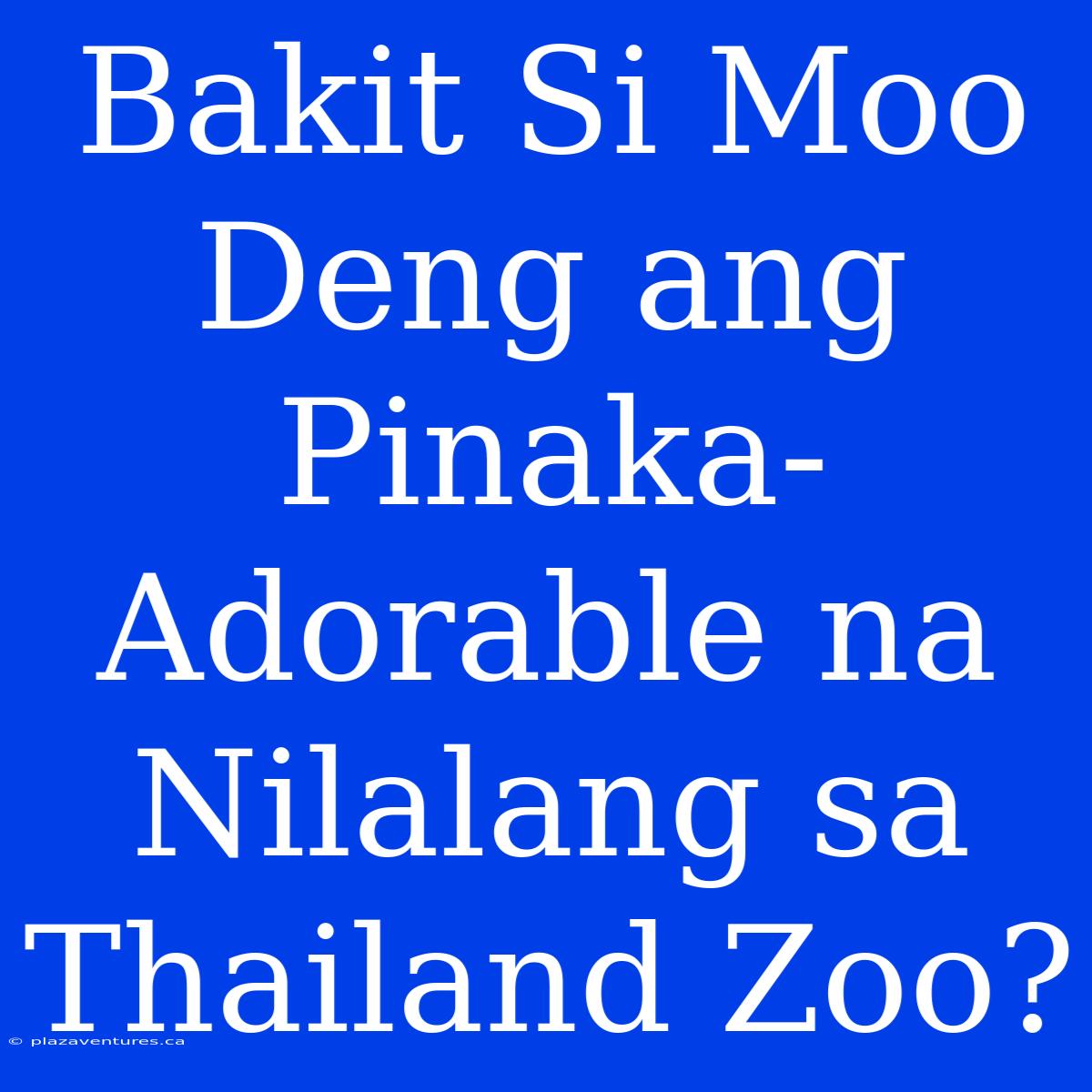 Bakit Si Moo Deng Ang Pinaka-Adorable Na Nilalang Sa Thailand Zoo?