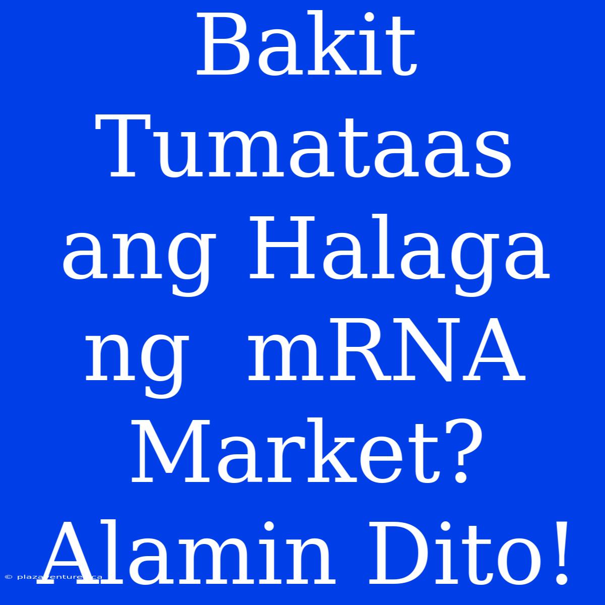 Bakit Tumataas Ang Halaga Ng  MRNA Market?  Alamin Dito!