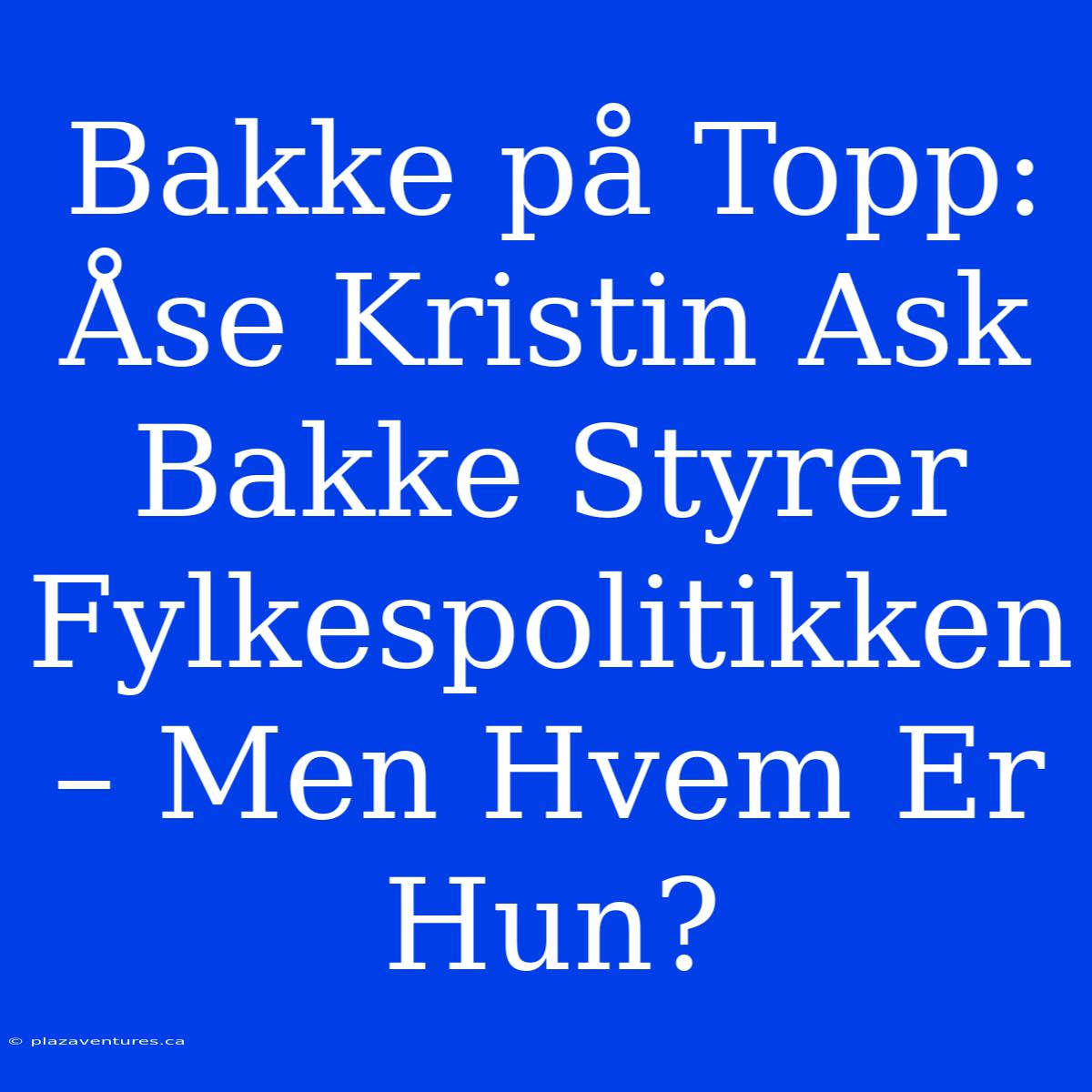 Bakke På Topp: Åse Kristin Ask Bakke Styrer Fylkespolitikken – Men Hvem Er Hun?