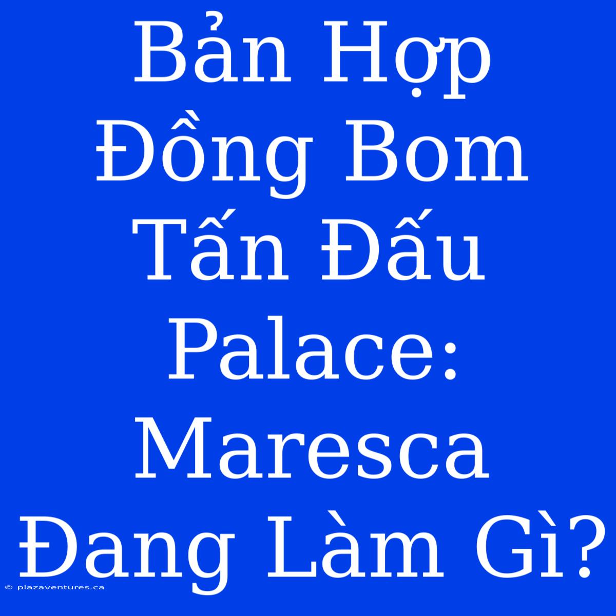 Bản Hợp Đồng Bom Tấn Đấu Palace: Maresca Đang Làm Gì?