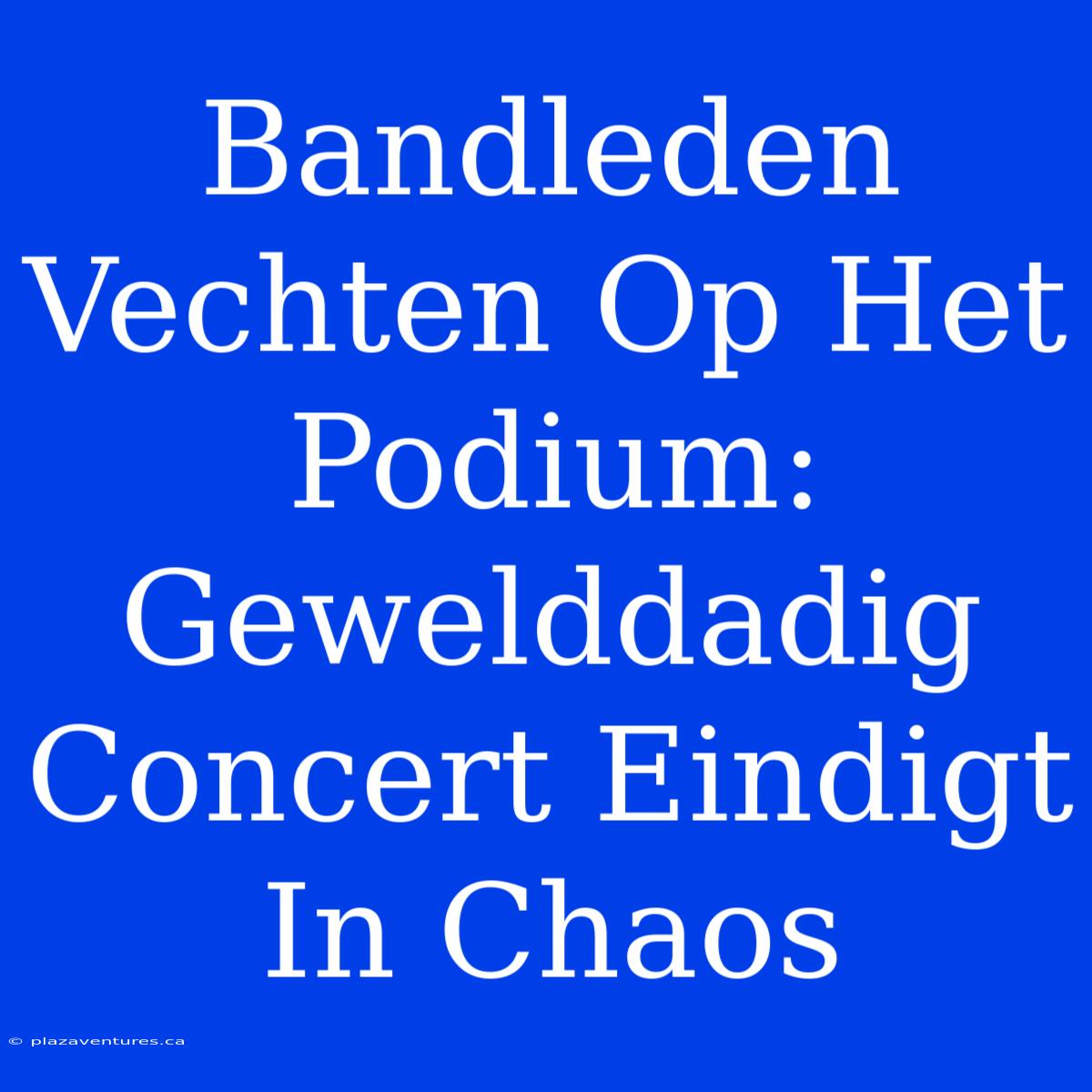 Bandleden Vechten Op Het Podium: Gewelddadig Concert Eindigt In Chaos