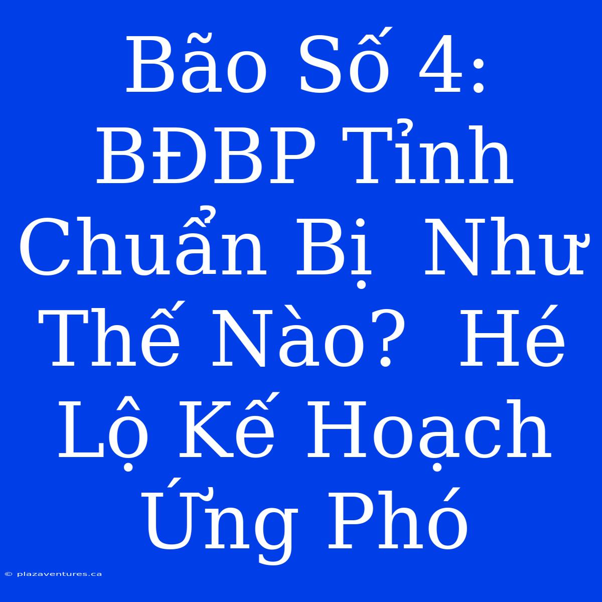 Bão Số 4: BĐBP Tỉnh  Chuẩn Bị  Như Thế Nào?  Hé Lộ Kế Hoạch Ứng Phó