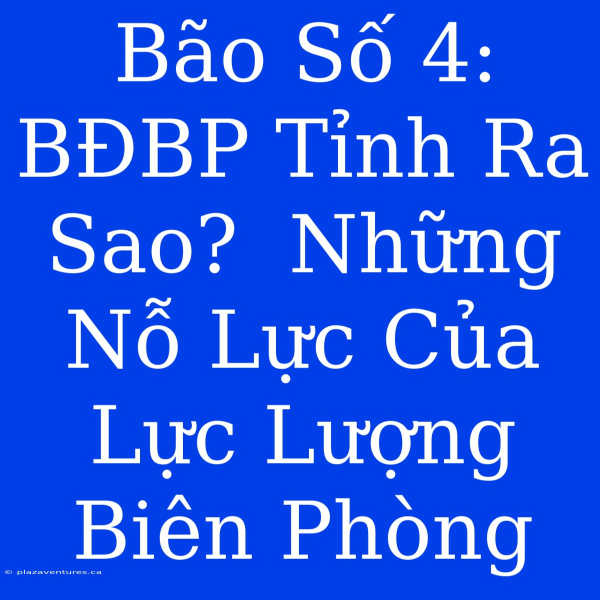 Bão Số 4:  BĐBP Tỉnh Ra Sao?  Những Nỗ Lực Của Lực Lượng Biên Phòng