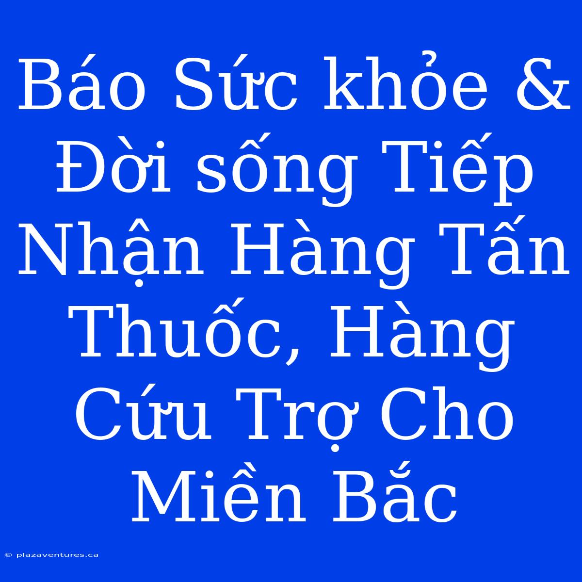 Báo Sức Khỏe & Đời Sống Tiếp Nhận Hàng Tấn Thuốc, Hàng Cứu Trợ Cho Miền Bắc