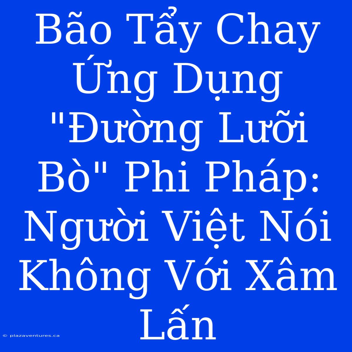 Bão Tẩy Chay Ứng Dụng 