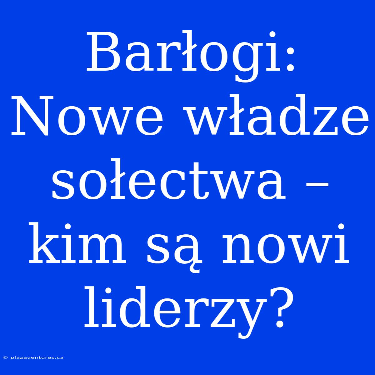 Barłogi: Nowe Władze Sołectwa – Kim Są Nowi Liderzy?