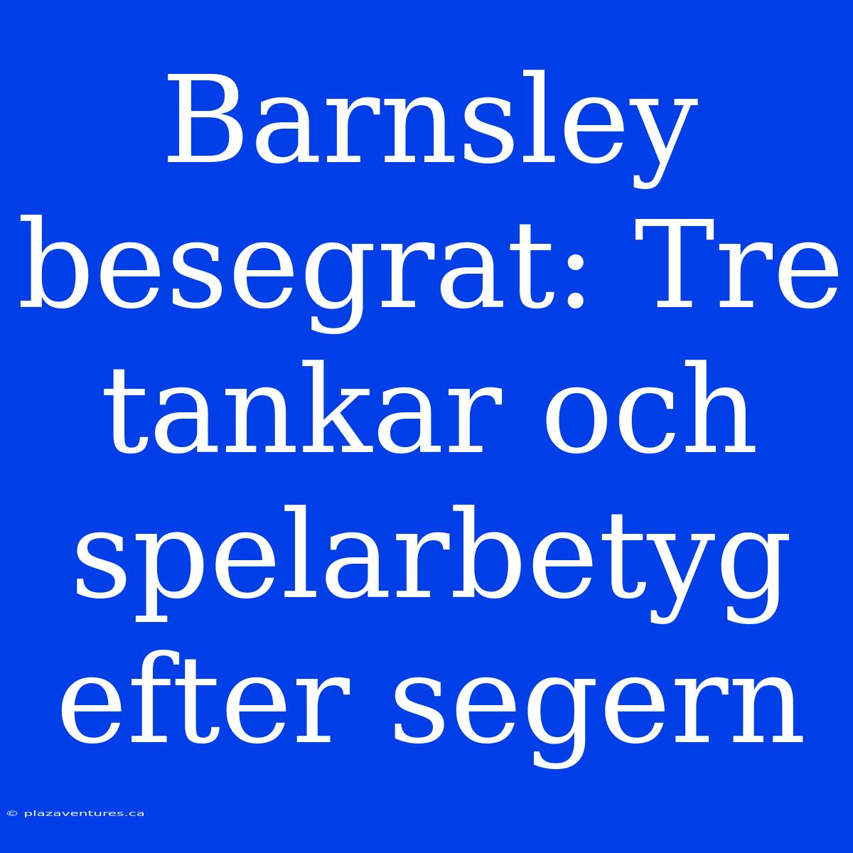 Barnsley Besegrat: Tre Tankar Och Spelarbetyg Efter Segern