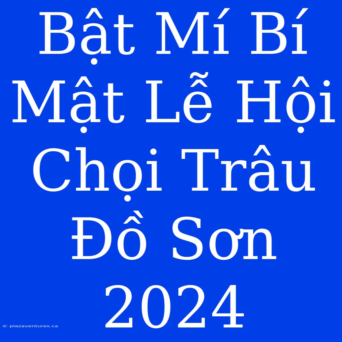 Bật Mí Bí Mật Lễ Hội Chọi Trâu Đồ Sơn 2024