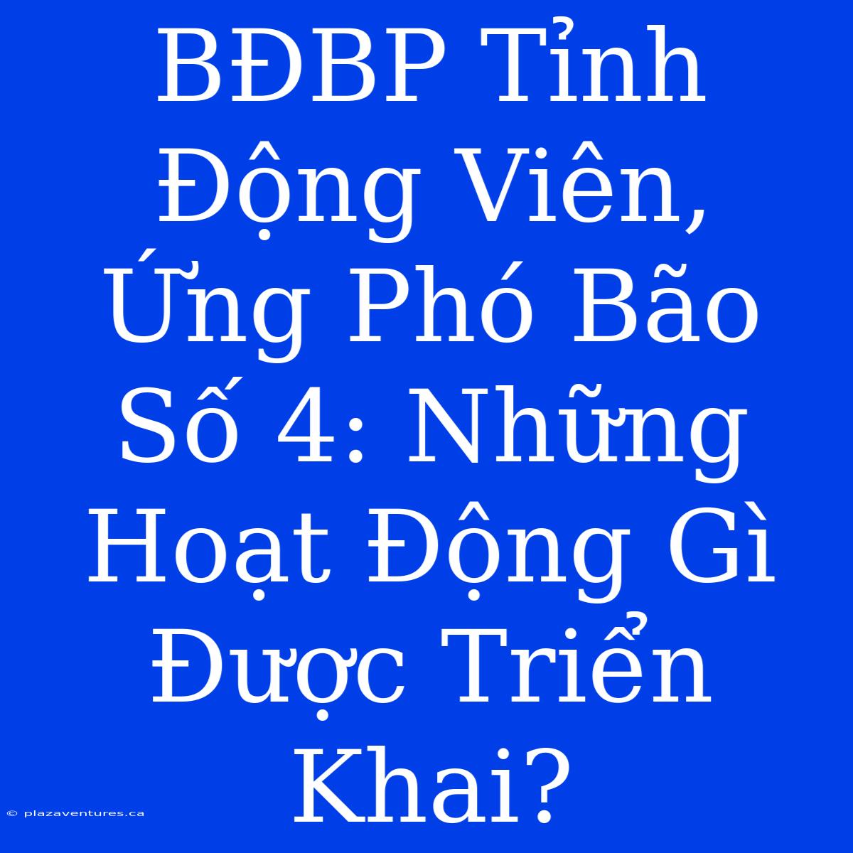 BĐBP Tỉnh Động Viên,  Ứng Phó Bão Số 4: Những Hoạt Động Gì Được Triển Khai?