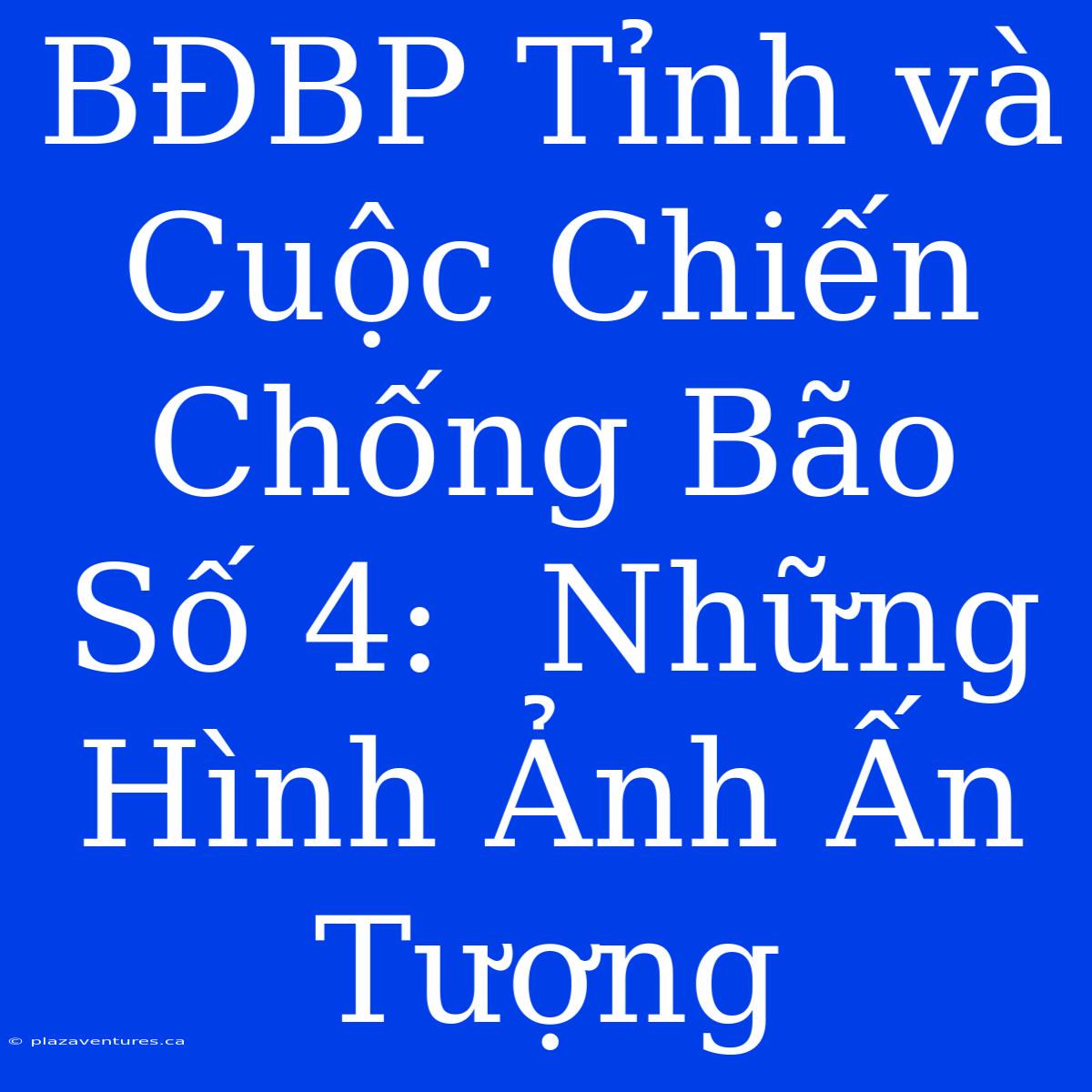 BĐBP Tỉnh Và Cuộc Chiến Chống Bão Số 4:  Những Hình Ảnh Ấn Tượng