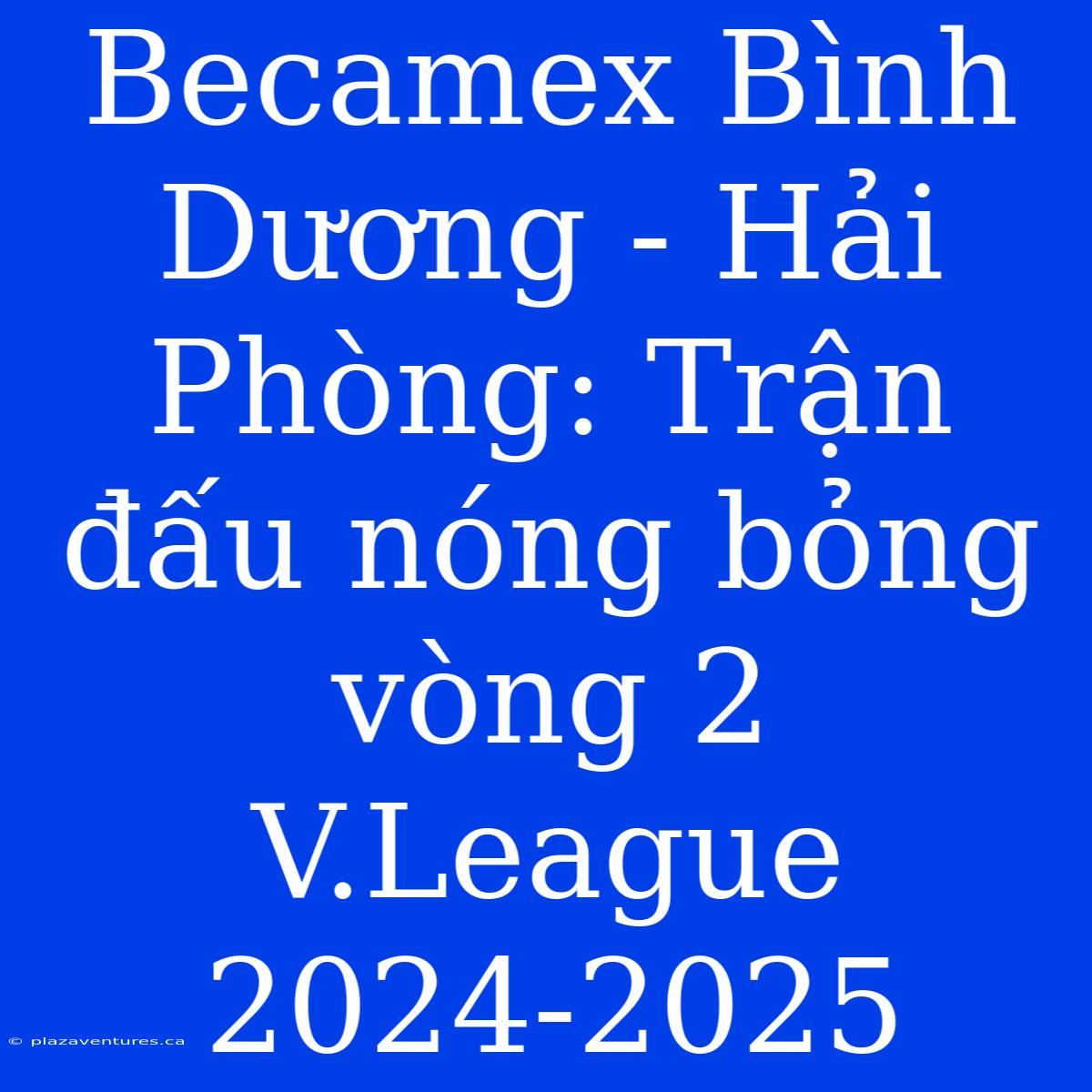 Becamex Bình Dương - Hải Phòng: Trận Đấu Nóng Bỏng Vòng 2 V.League 2024-2025