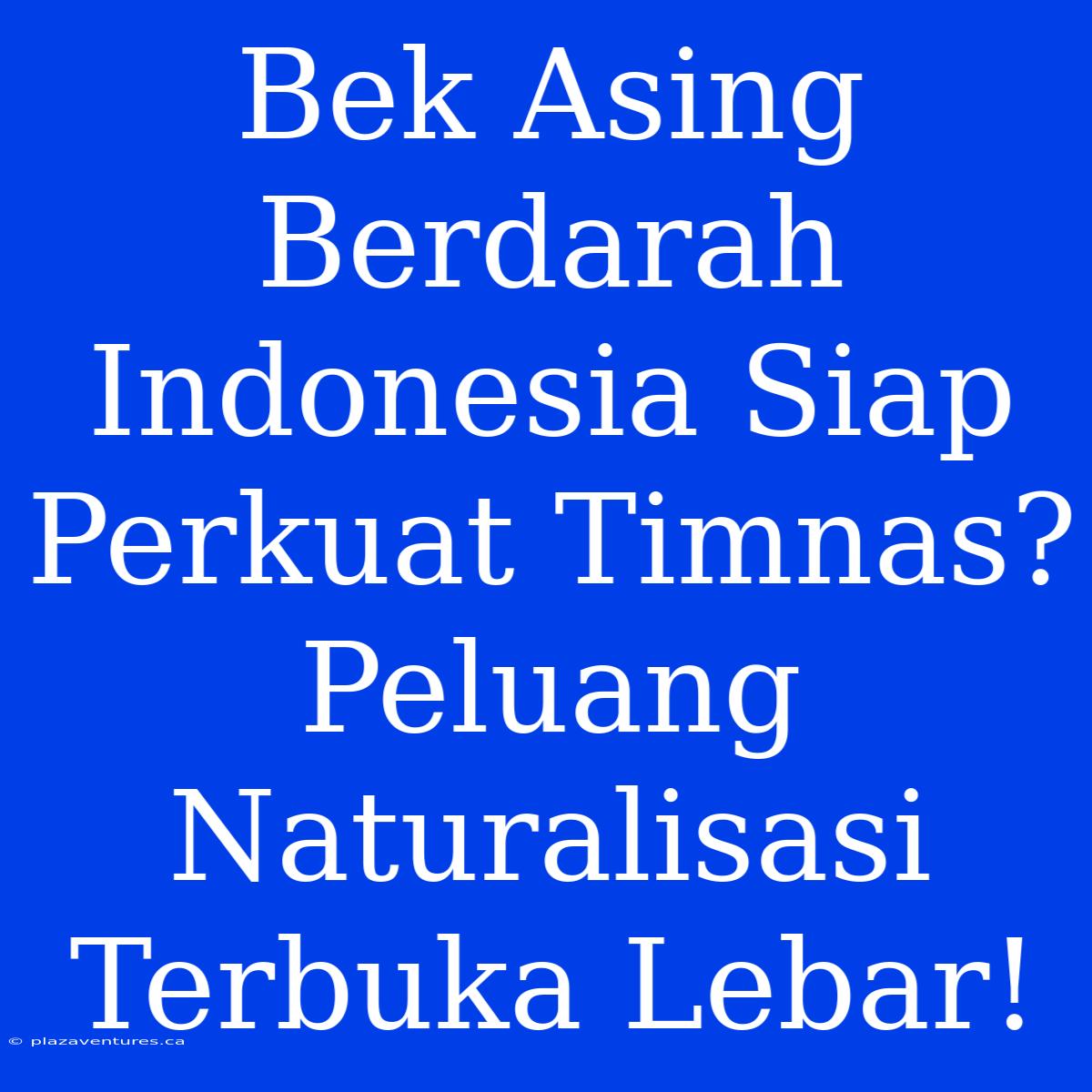 Bek Asing Berdarah Indonesia Siap Perkuat Timnas? Peluang Naturalisasi Terbuka Lebar!