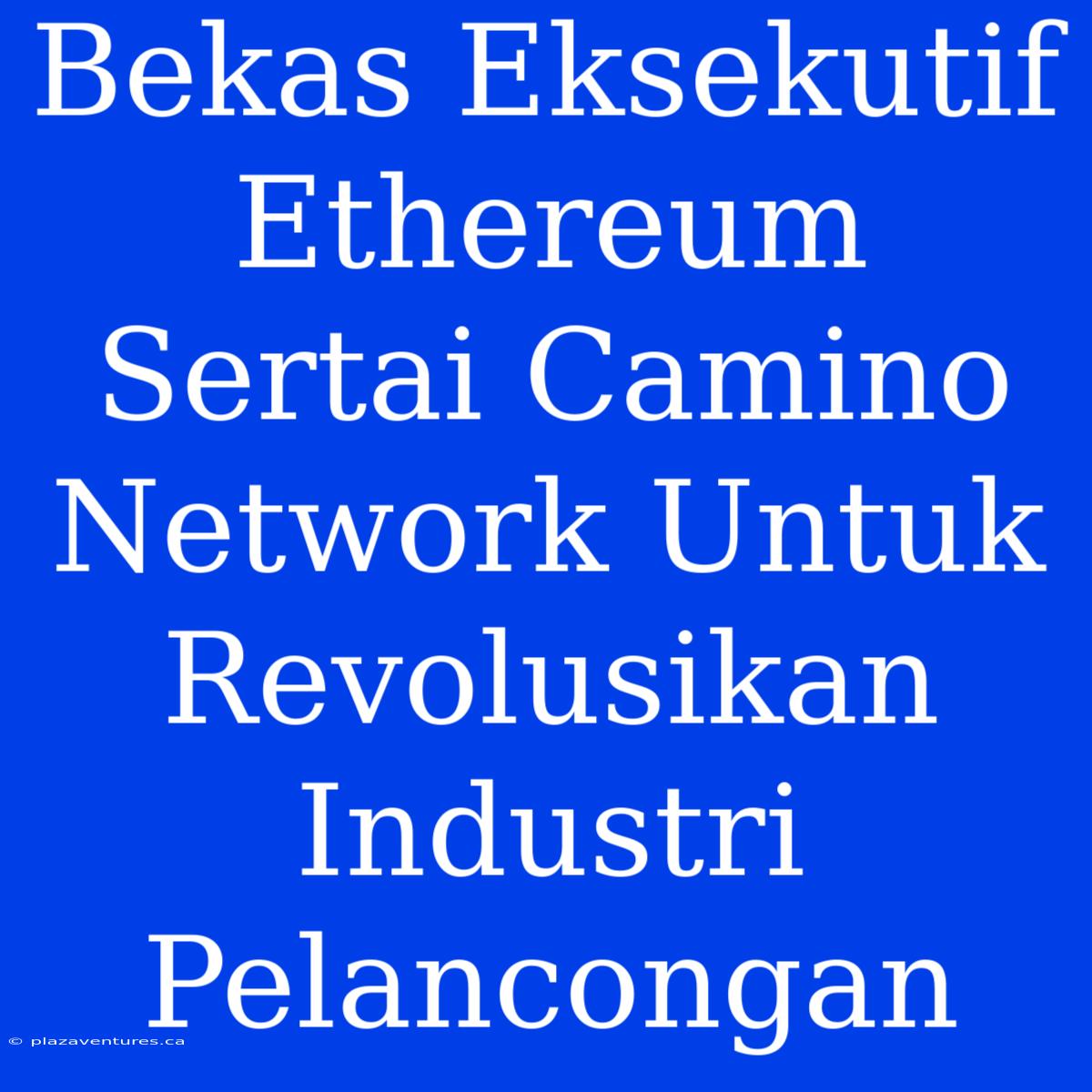 Bekas Eksekutif Ethereum Sertai Camino Network Untuk Revolusikan Industri Pelancongan