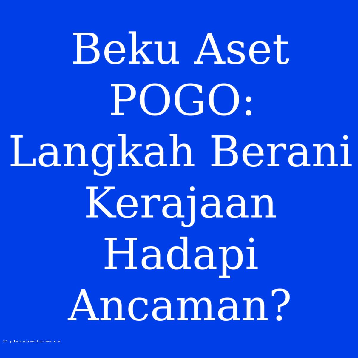 Beku Aset POGO: Langkah Berani Kerajaan Hadapi Ancaman?