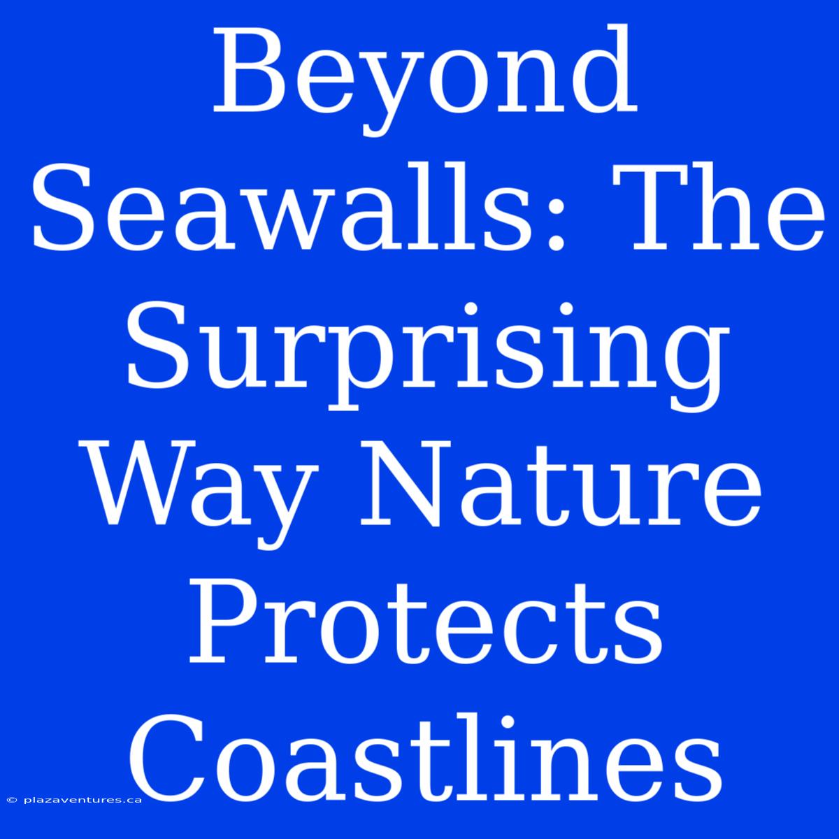 Beyond Seawalls: The Surprising Way Nature Protects Coastlines