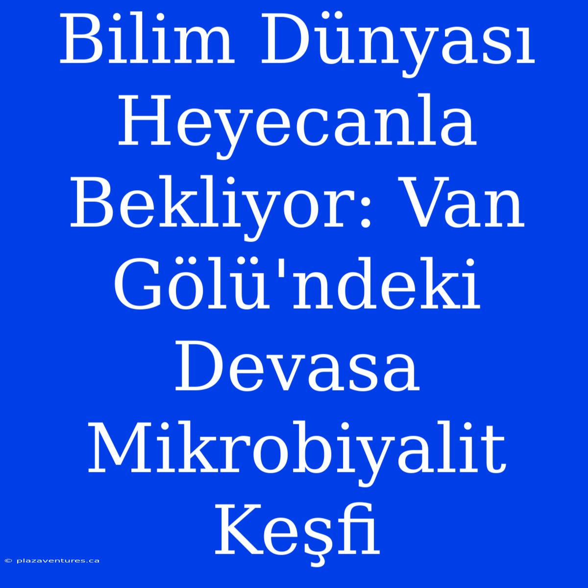 Bilim Dünyası Heyecanla Bekliyor: Van Gölü'ndeki Devasa Mikrobiyalit Keşfi