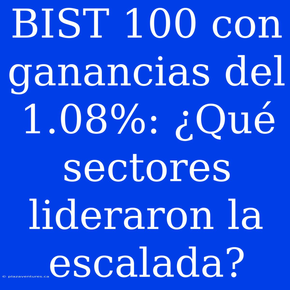 BIST 100 Con Ganancias Del 1.08%: ¿Qué Sectores Lideraron La Escalada?