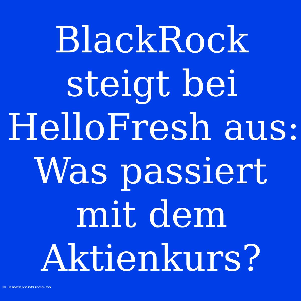 BlackRock Steigt Bei HelloFresh Aus: Was Passiert Mit Dem Aktienkurs?