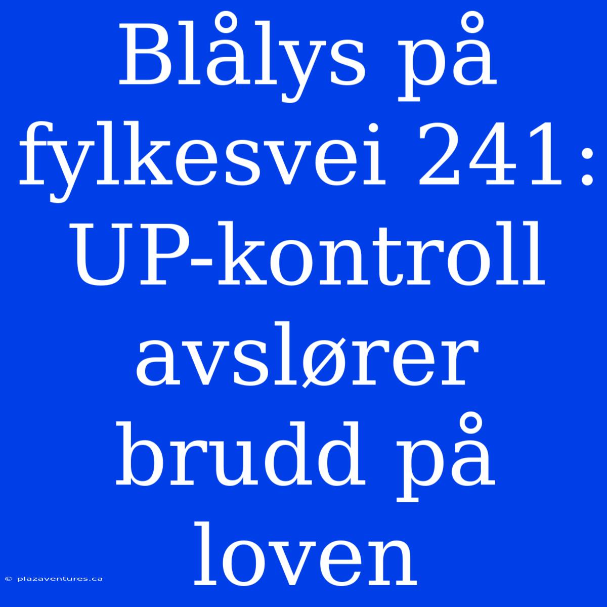 Blålys På Fylkesvei 241: UP-kontroll Avslører Brudd På Loven