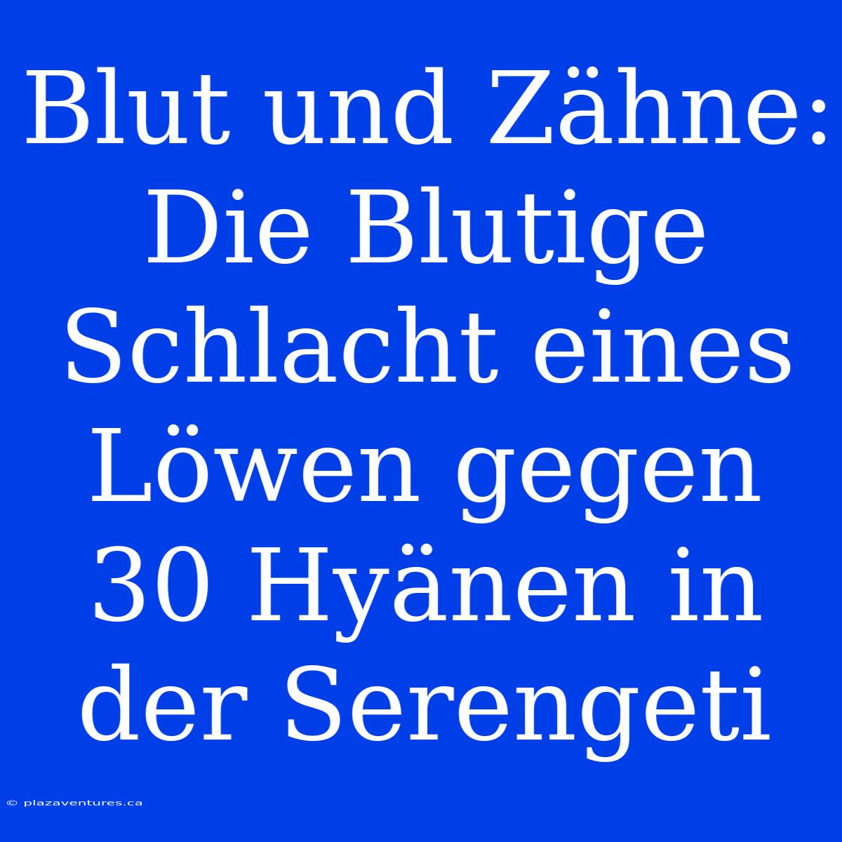 Blut Und Zähne: Die Blutige Schlacht Eines Löwen Gegen 30 Hyänen In Der Serengeti