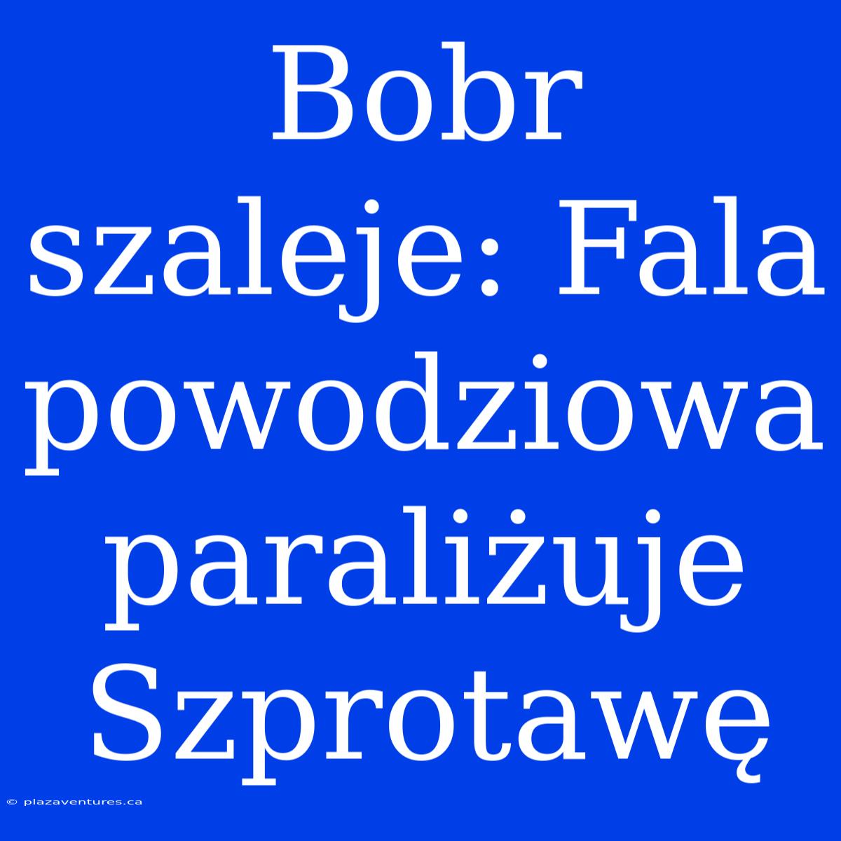 Bobr Szaleje: Fala Powodziowa Paraliżuje Szprotawę