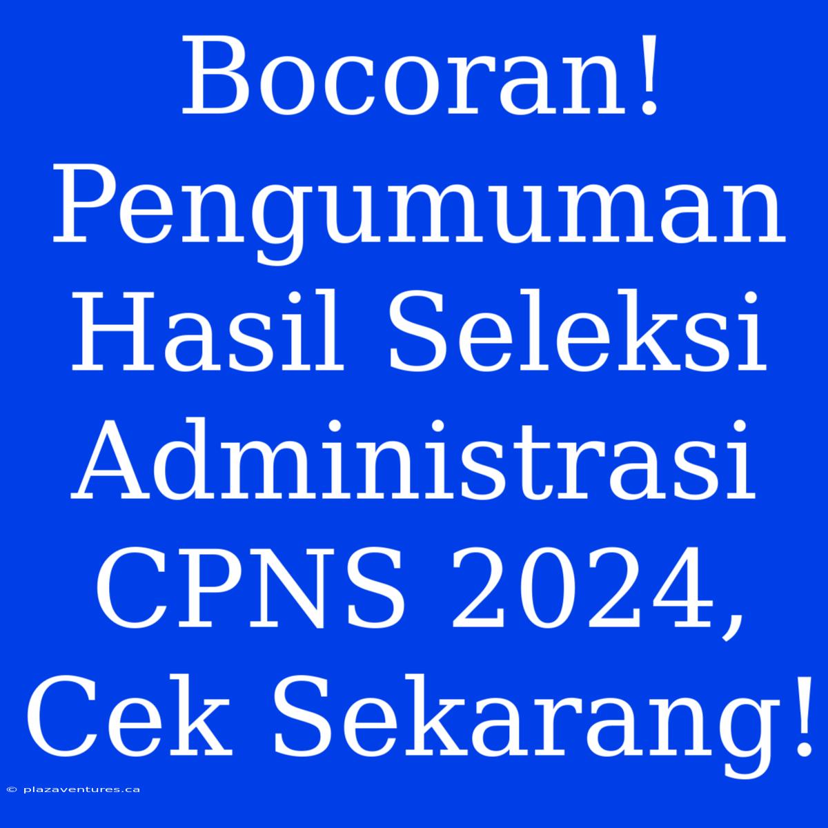 Bocoran! Pengumuman Hasil Seleksi Administrasi CPNS 2024, Cek Sekarang!