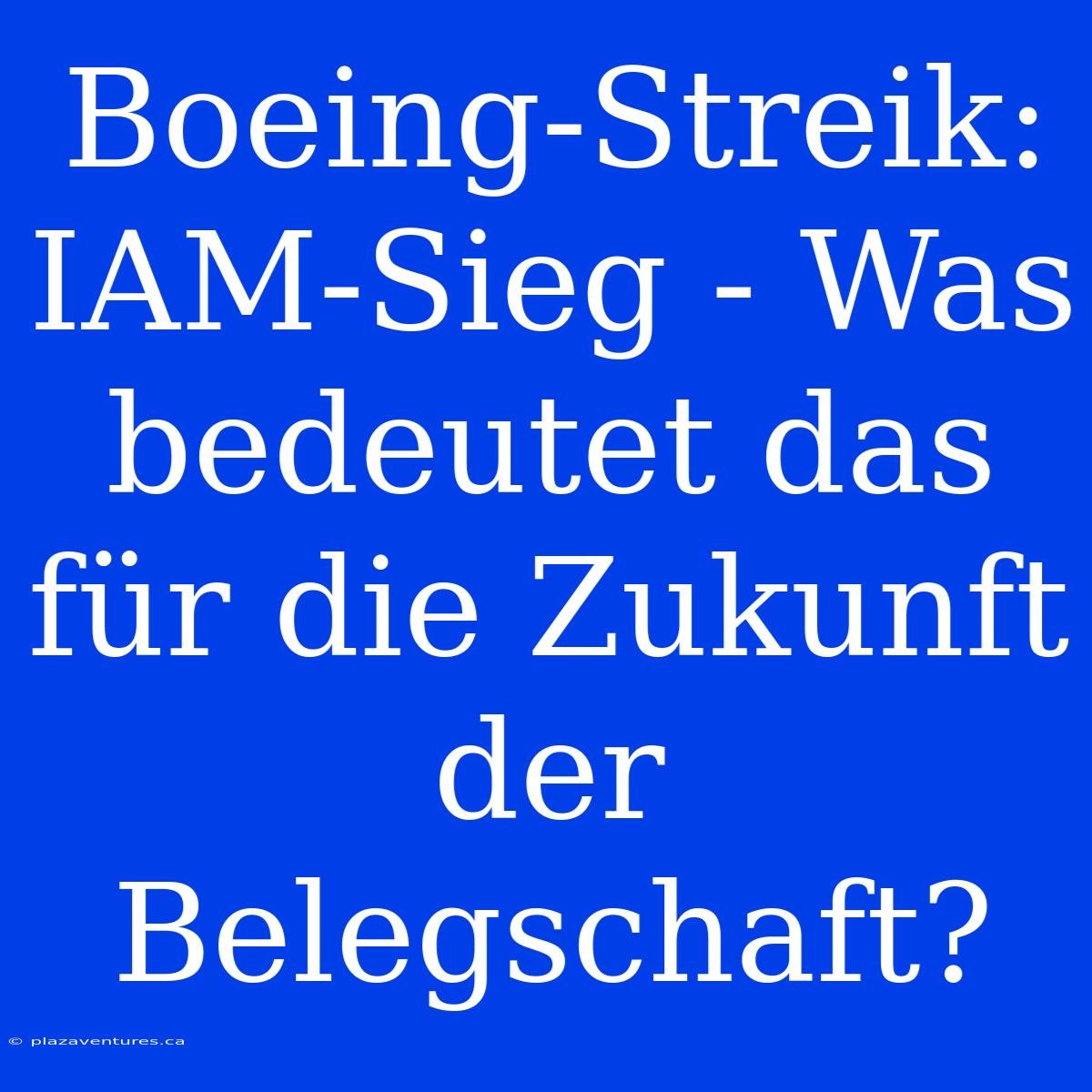 Boeing-Streik: IAM-Sieg - Was Bedeutet Das Für Die Zukunft Der Belegschaft?