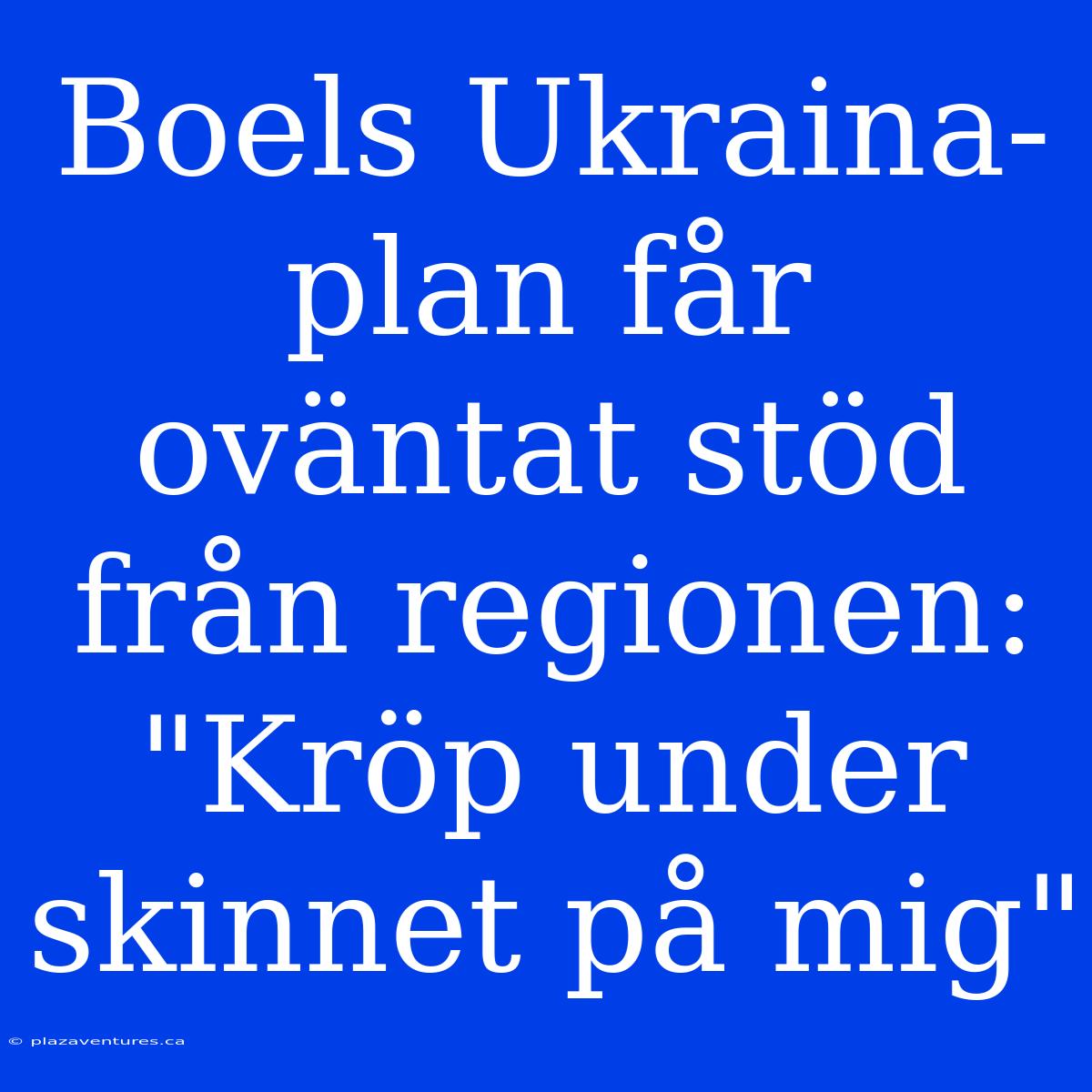 Boels Ukraina-plan Får Oväntat Stöd Från Regionen: 