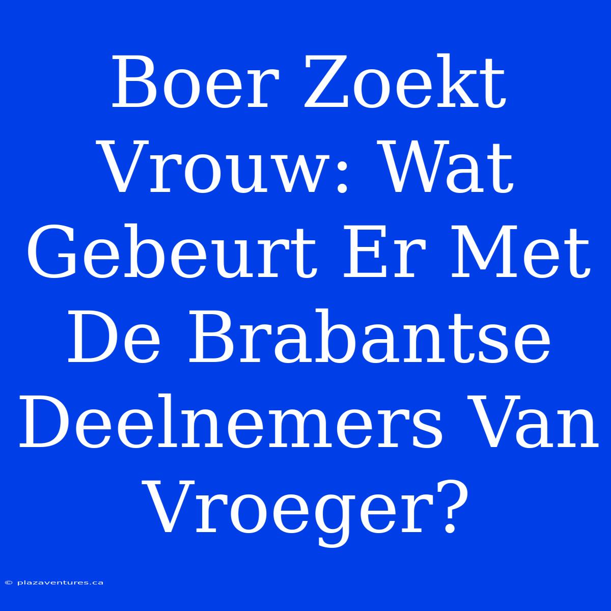 Boer Zoekt Vrouw: Wat Gebeurt Er Met De Brabantse Deelnemers Van Vroeger?