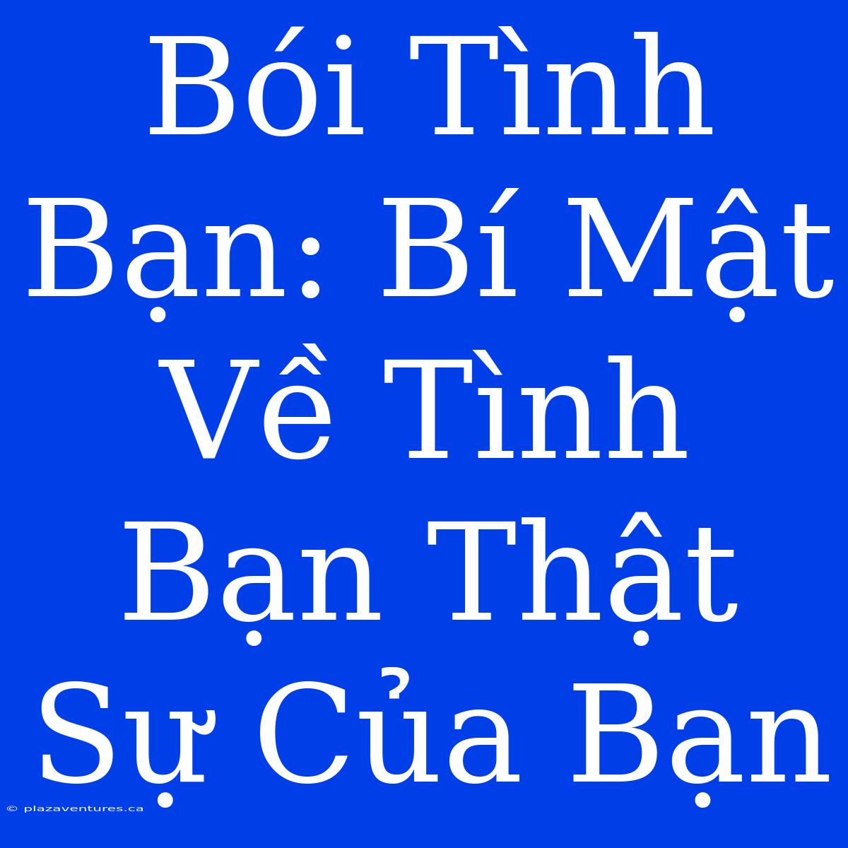 Bói Tình Bạn: Bí Mật Về Tình Bạn Thật Sự Của Bạn