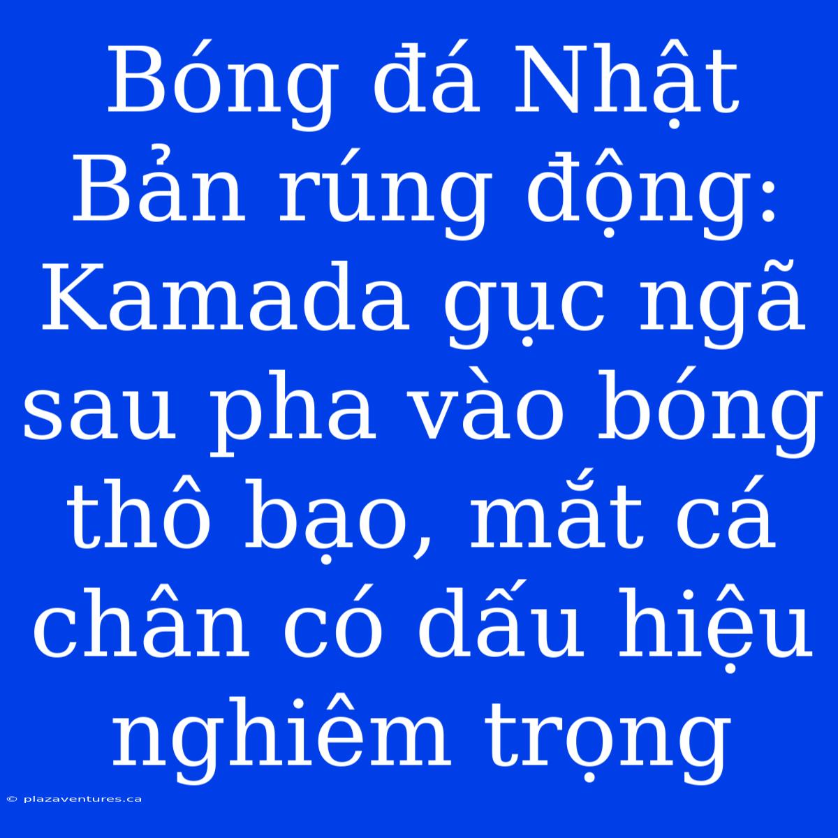 Bóng Đá Nhật Bản Rúng Động: Kamada Gục Ngã Sau Pha Vào Bóng Thô Bạo, Mắt Cá Chân Có Dấu Hiệu Nghiêm Trọng