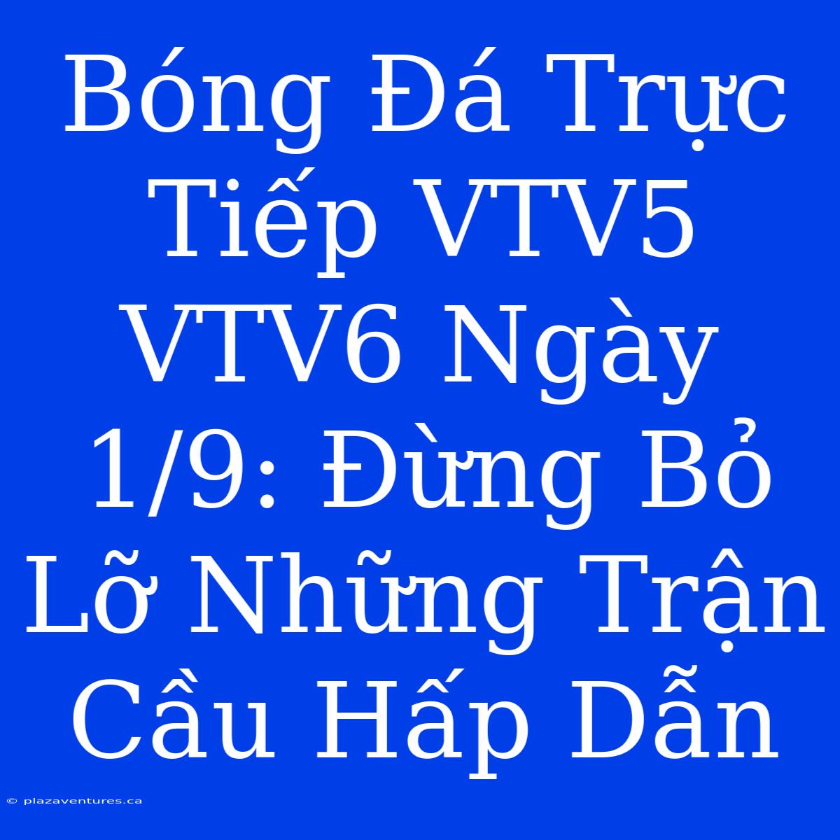 Bóng Đá Trực Tiếp VTV5 VTV6 Ngày 1/9: Đừng Bỏ Lỡ Những Trận Cầu Hấp Dẫn