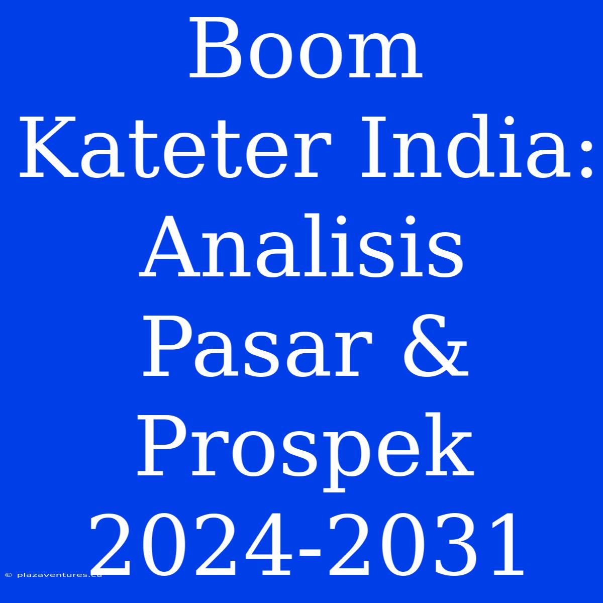 Boom Kateter India: Analisis Pasar & Prospek 2024-2031