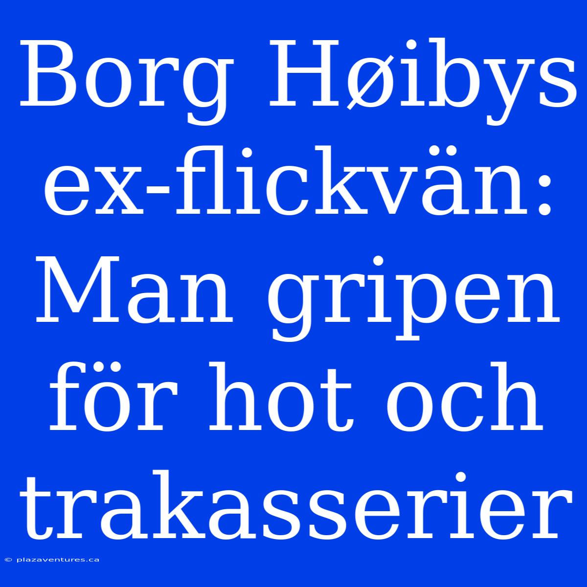 Borg Høibys Ex-flickvän: Man Gripen För Hot Och Trakasserier