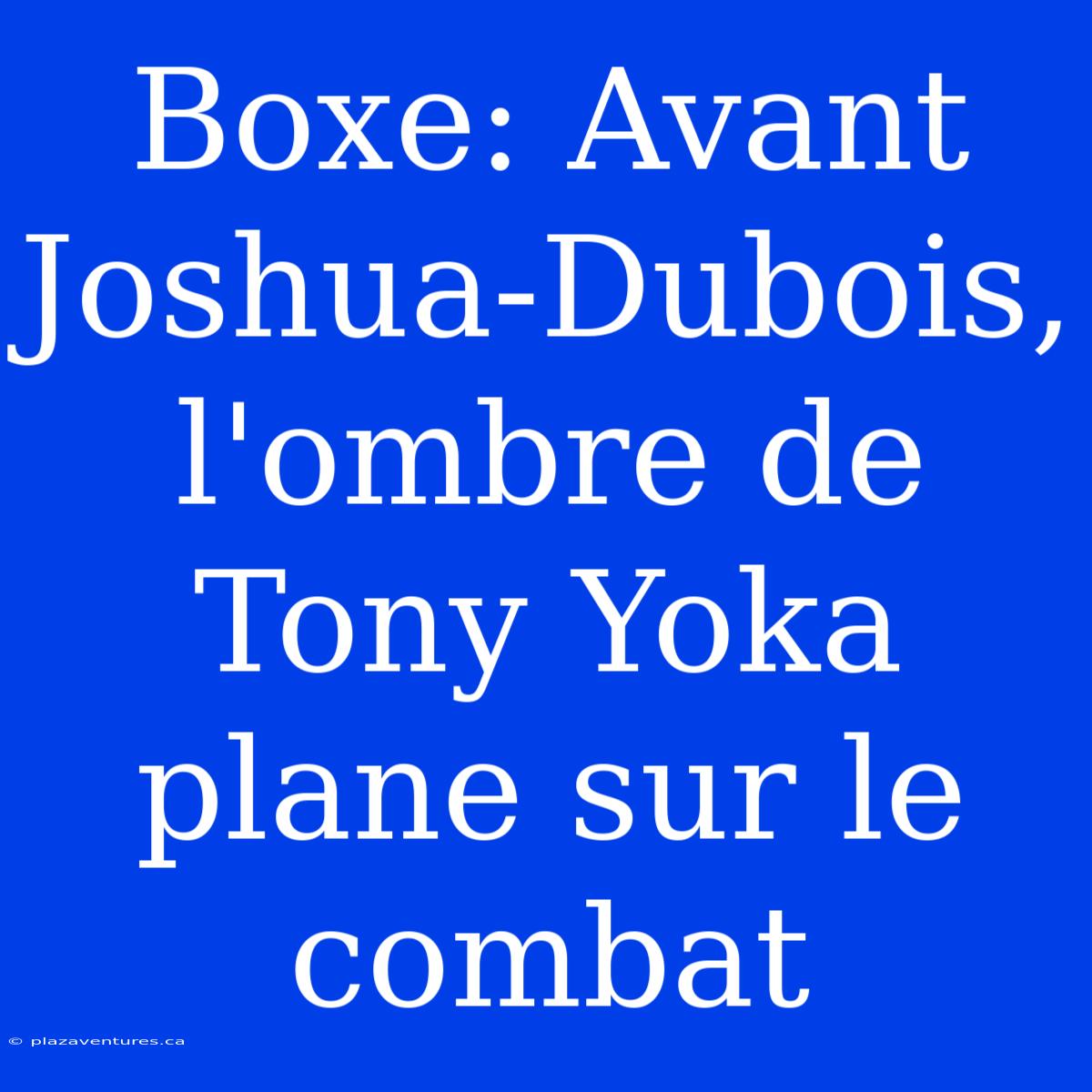 Boxe: Avant Joshua-Dubois, L'ombre De Tony Yoka Plane Sur Le Combat