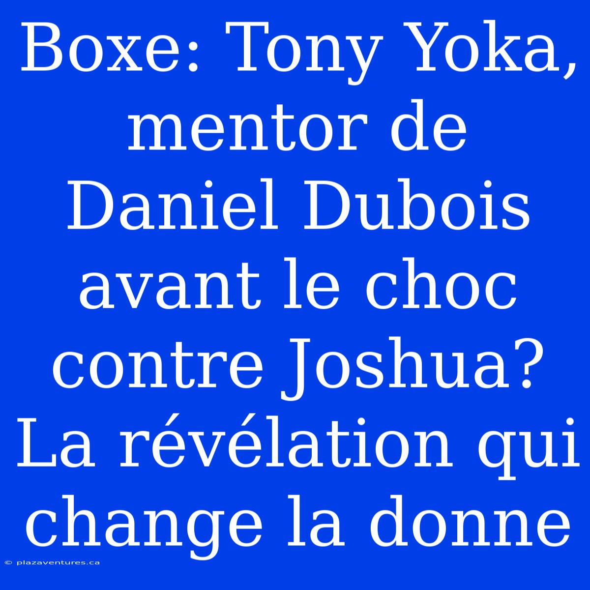 Boxe: Tony Yoka, Mentor De Daniel Dubois Avant Le Choc Contre Joshua? La Révélation Qui Change La Donne