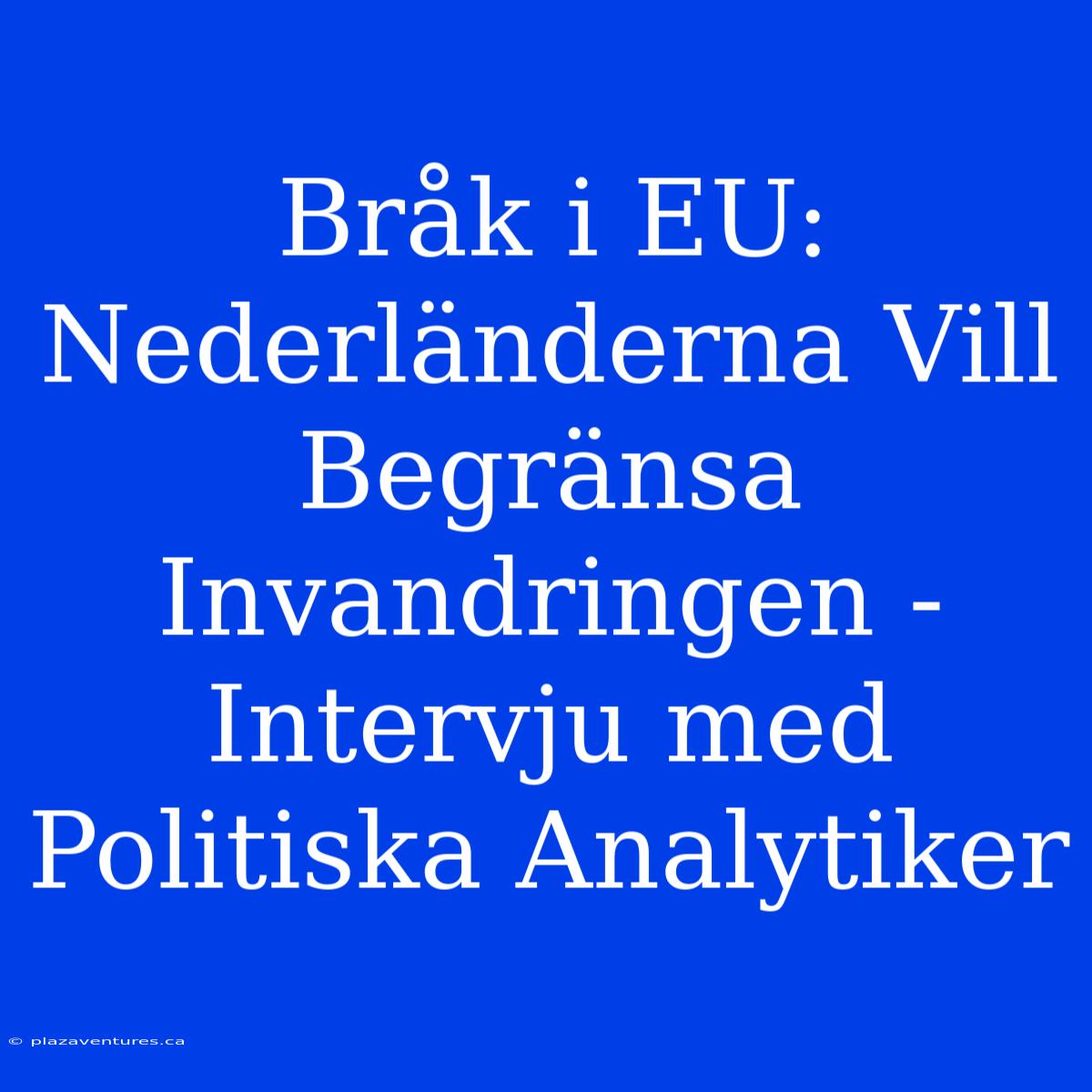 Bråk I EU: Nederländerna Vill Begränsa Invandringen - Intervju Med Politiska Analytiker