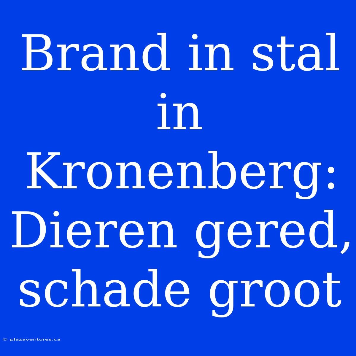 Brand In Stal In Kronenberg: Dieren Gered, Schade Groot