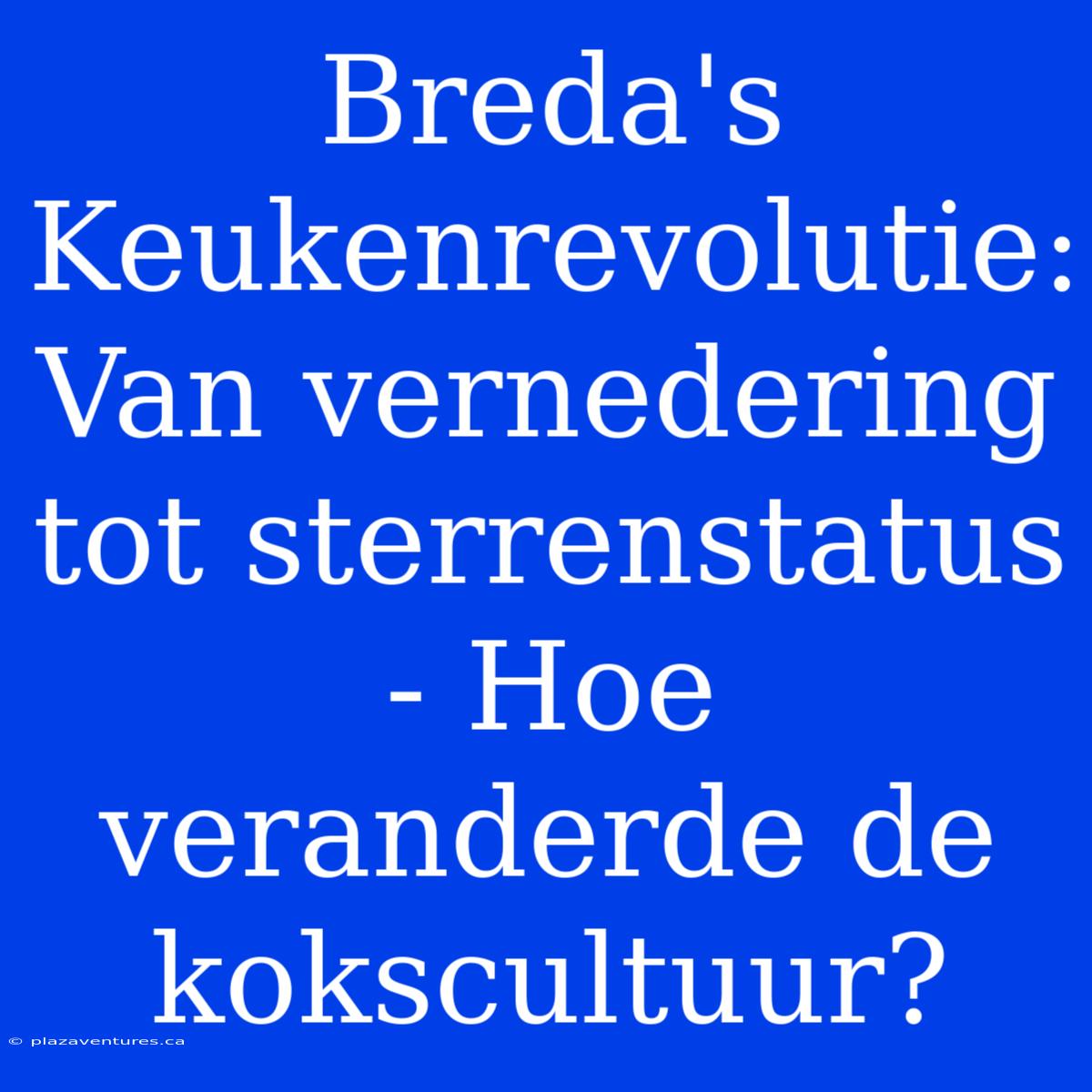 Breda's Keukenrevolutie: Van Vernedering Tot Sterrenstatus - Hoe Veranderde De Kokscultuur?