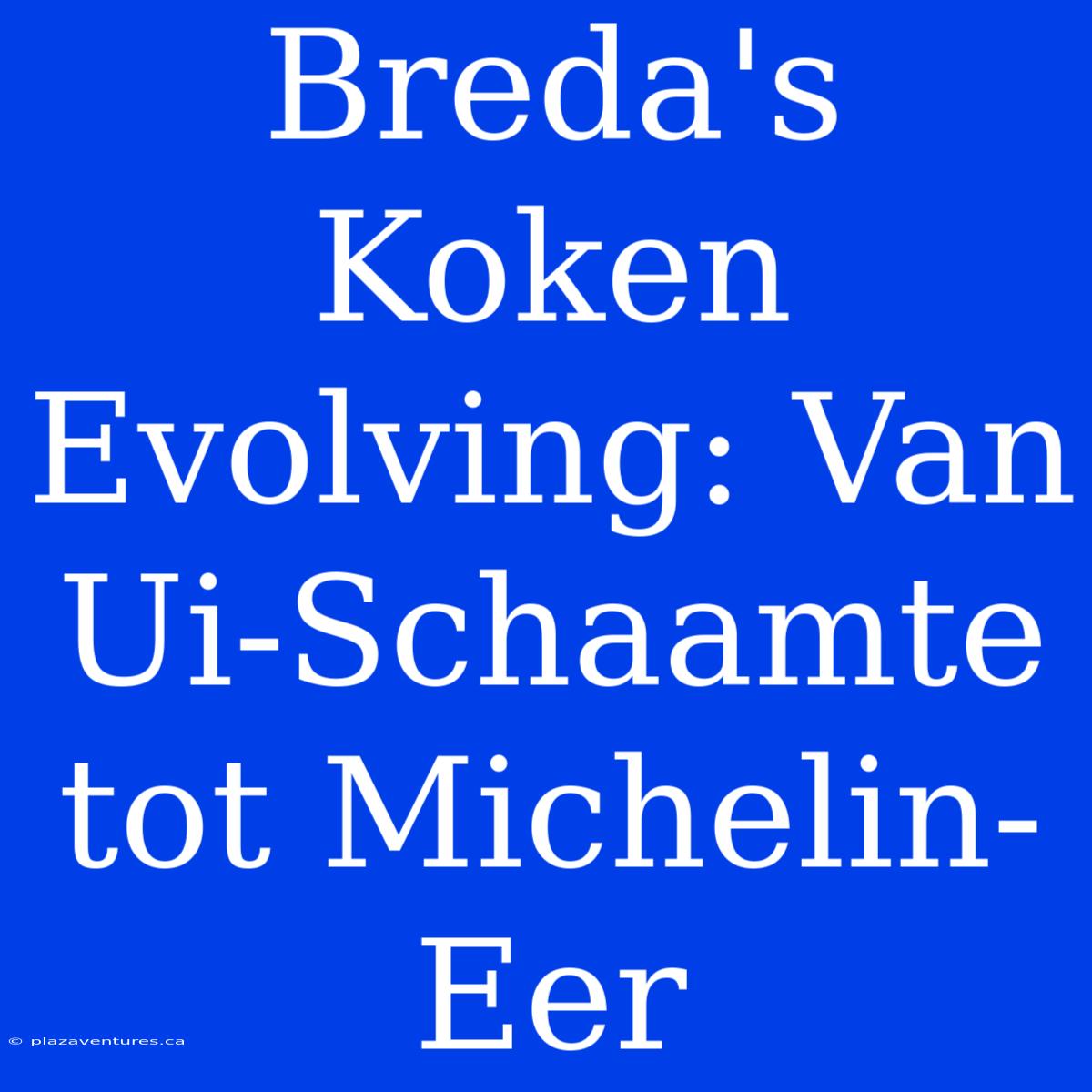 Breda's Koken Evolving: Van Ui-Schaamte Tot Michelin-Eer