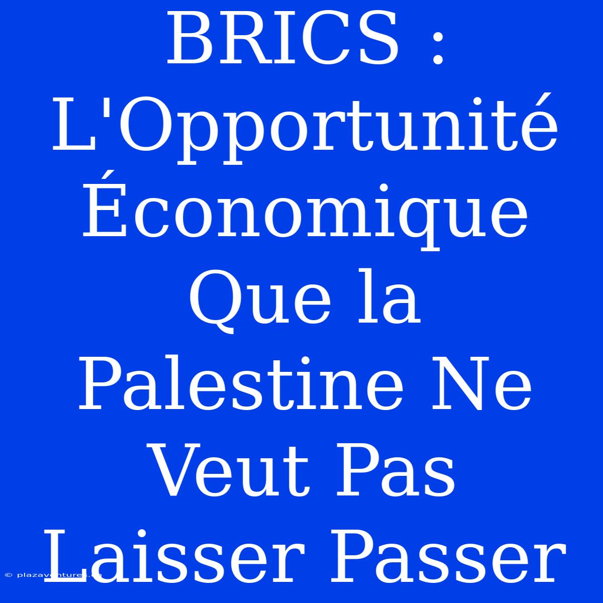 BRICS : L'Opportunité Économique Que La Palestine Ne Veut Pas Laisser Passer