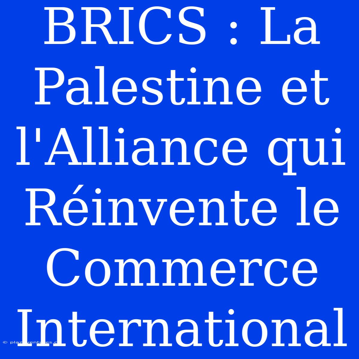 BRICS : La Palestine Et L'Alliance Qui Réinvente Le Commerce International