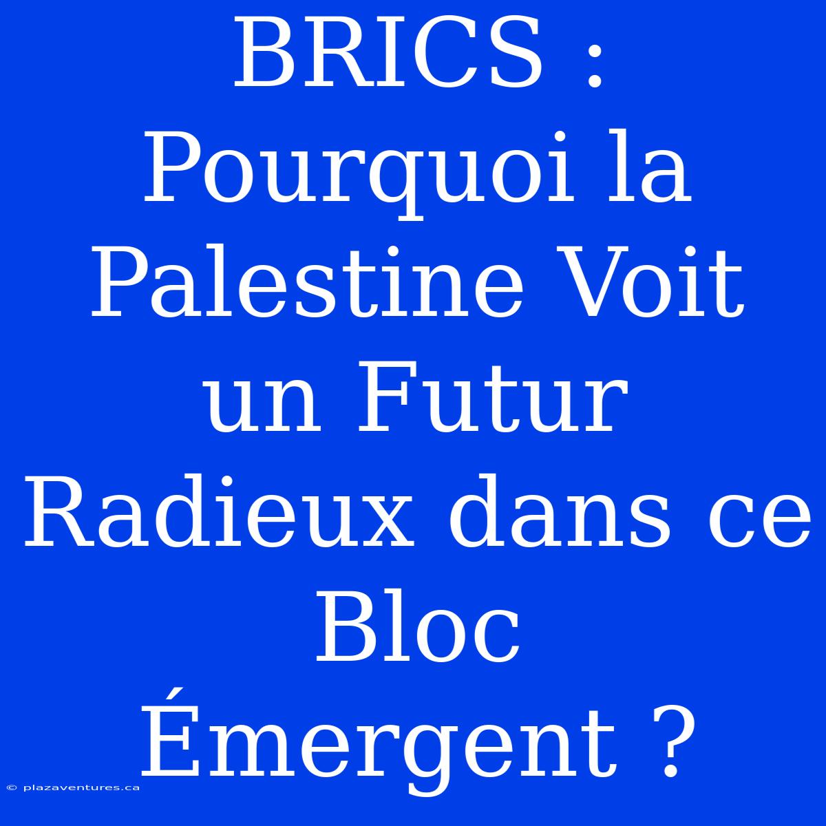 BRICS : Pourquoi La Palestine Voit Un Futur Radieux Dans Ce Bloc Émergent ?